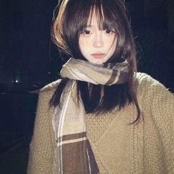 知更鸟海报